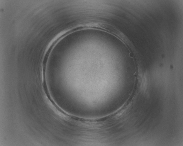 X0000052571036200507011215