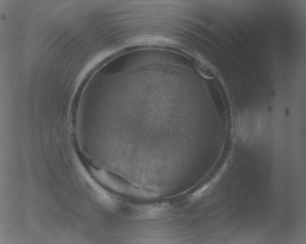 X0000052571037200507011215