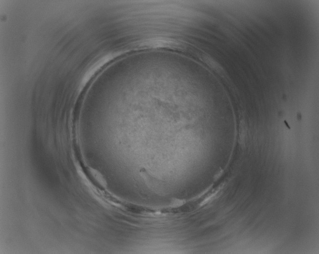 X0000052571039200507011215