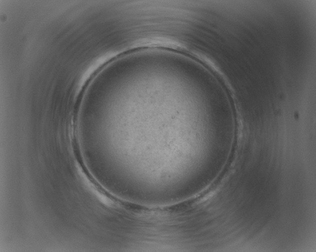 X0000052571040200507011216