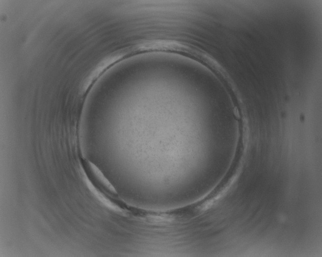 X0000052571041200507011216