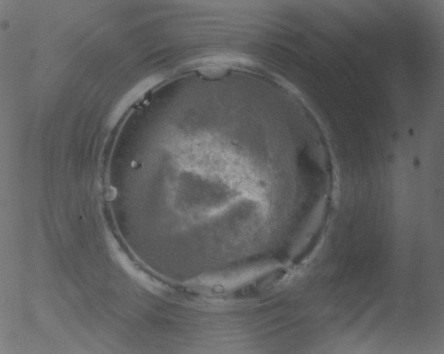 X0000052571042200507011216