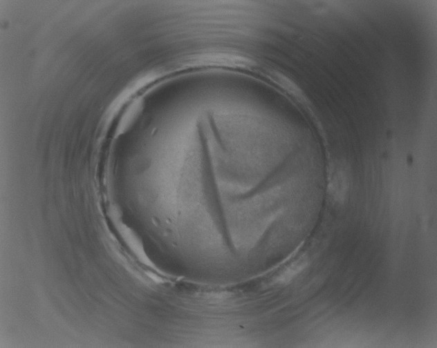 X0000052571043200507011216