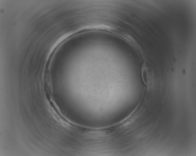 X0000052571044200507011216