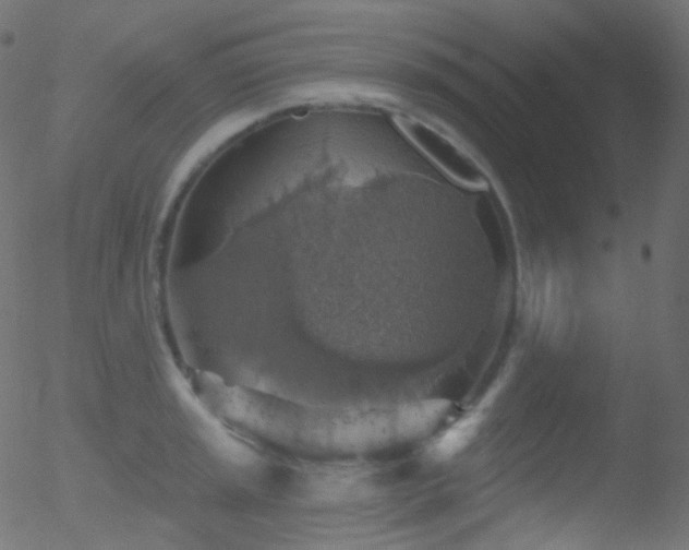 X0000052571045200507011216