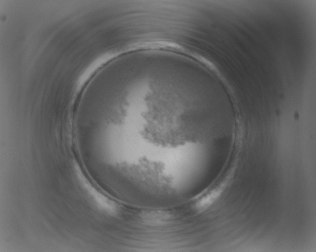 X0000052571046200507011216