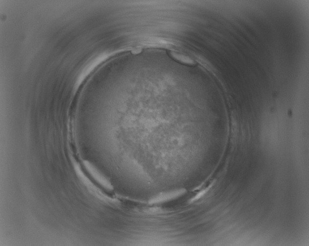 X0000052571047200507011216