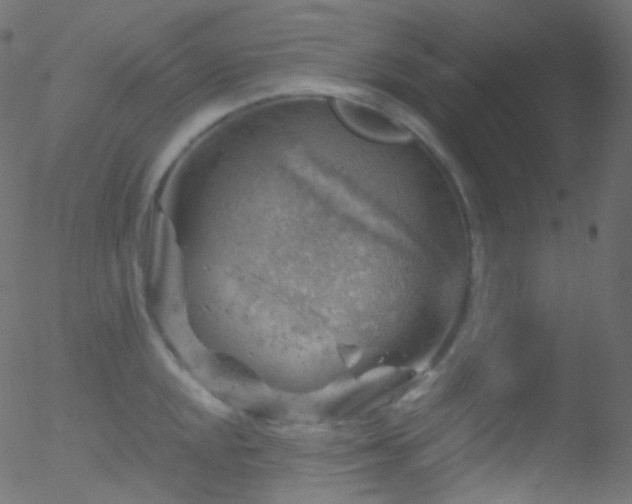 X0000052571048200507011216