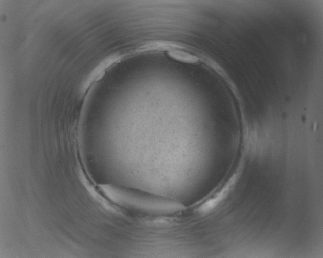 X0000052571049200507011216