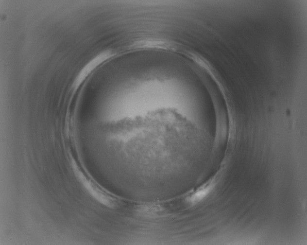 X0000052571050200507011216