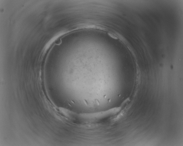 X0000052571051200507011216