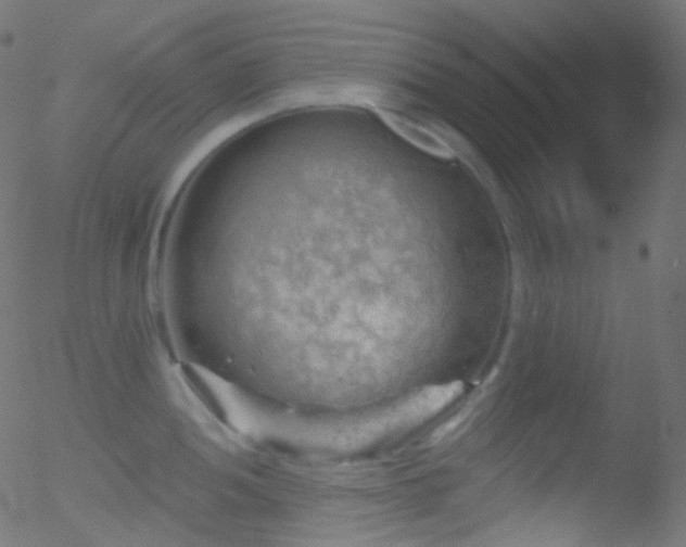 X0000052571052200507011216