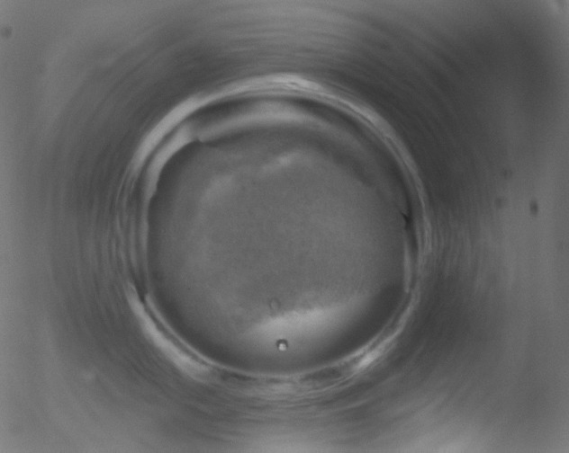 X0000052571054200507011216