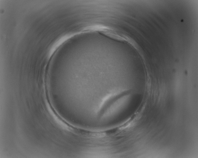 X0000052571055200507011216