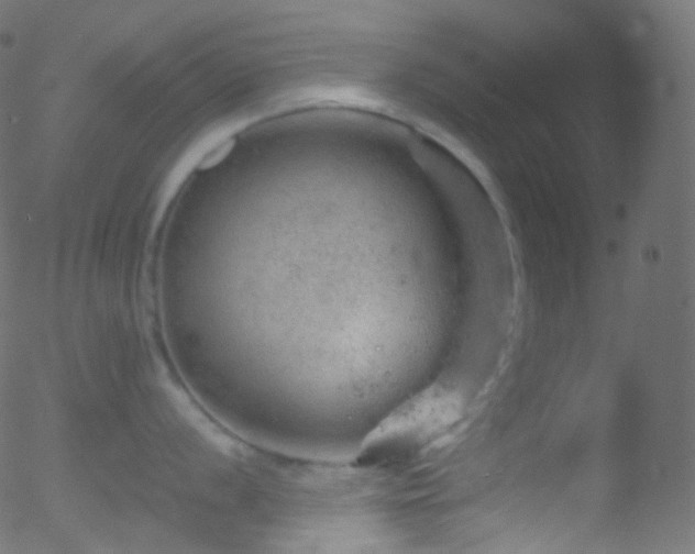 X0000052571056200507011216