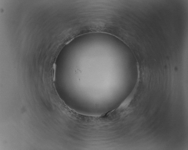 X0000052571057200507011215