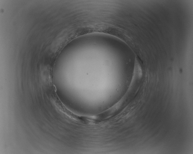 X0000052571058200507011215