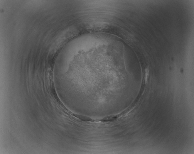 X0000052571059200507011215