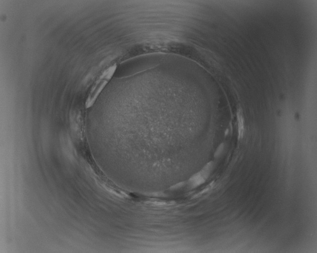 X0000052571060200507011215