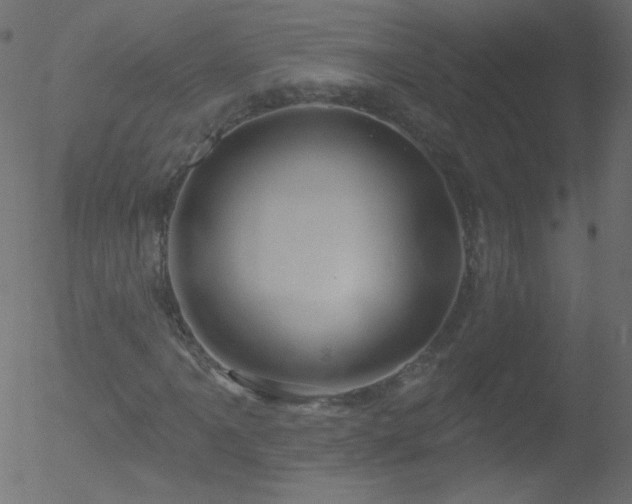 X0000052571061200507011215