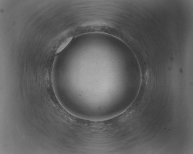 X0000052571062200507011215