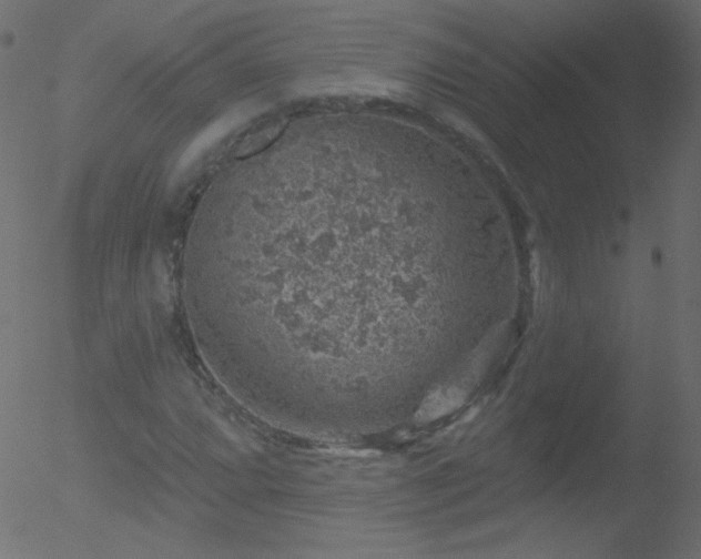 X0000052571064200507011215