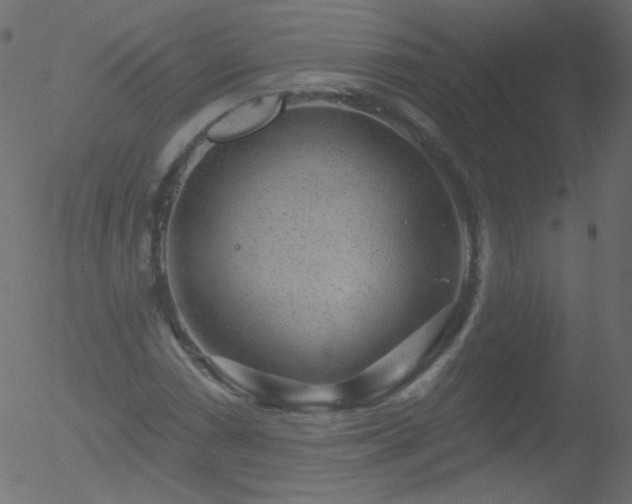 X0000052571066200507011215