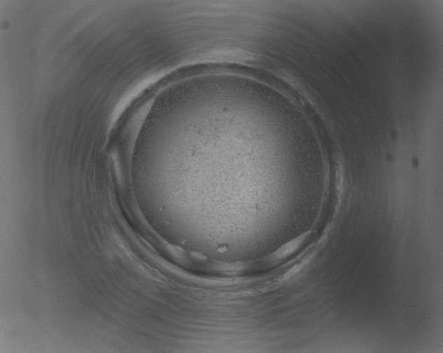 X0000052571069200507011215