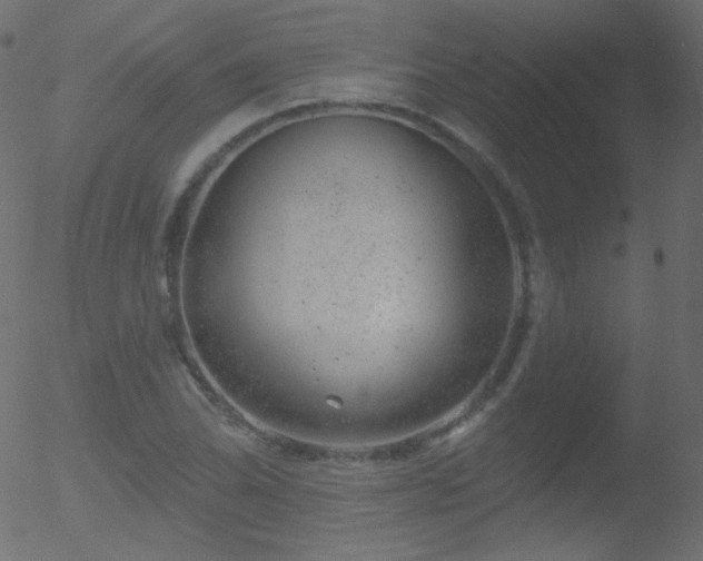 X0000052571070200507011215