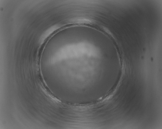 X0000052571071200507011215