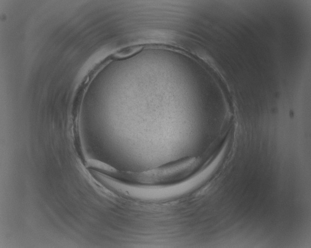 X0000052571072200507011215