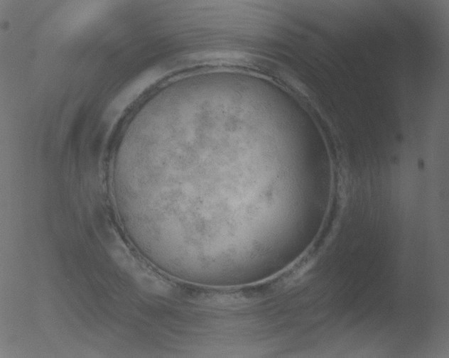 X0000052571074200507011215