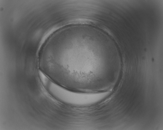 X0000052571075200507011215