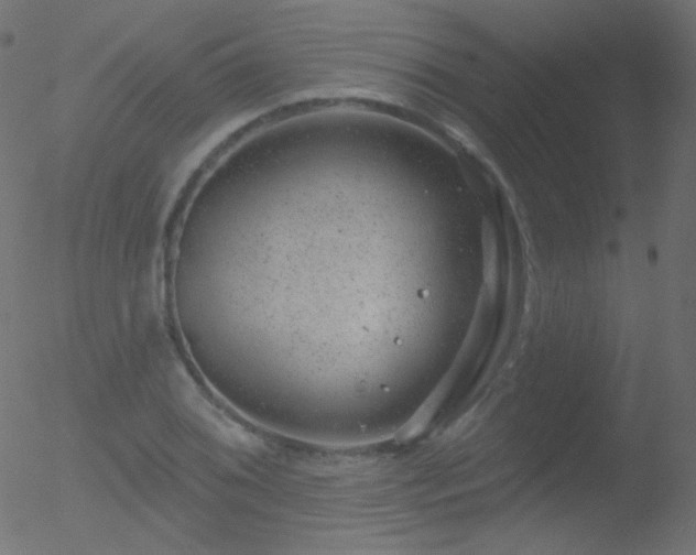 X0000052571076200507011215