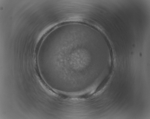 X0000052571077200507011215