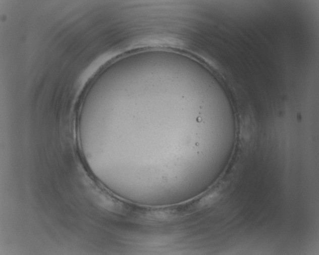 X0000052571078200507011215