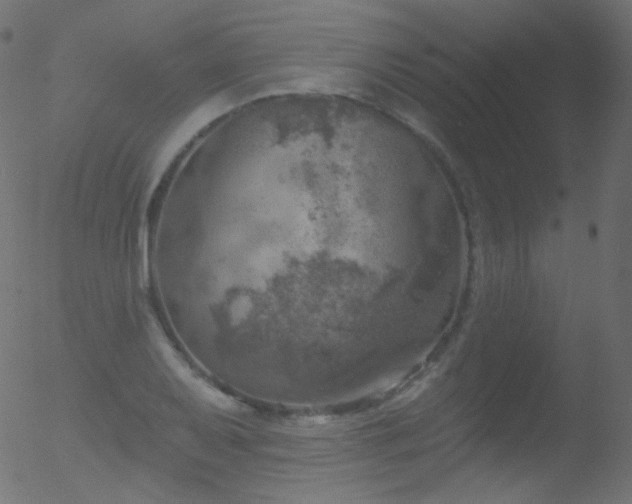 X0000052571079200507011215