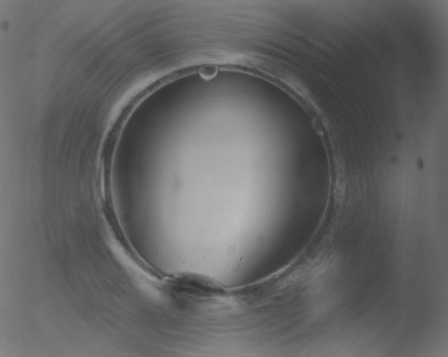 X0000052571080200507011215