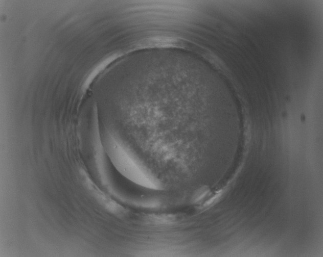 X0000052571081200507011215