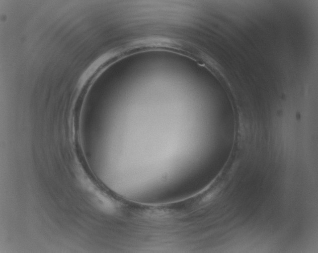 X0000052571082200507011215