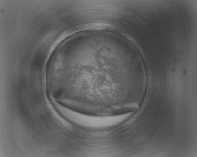 X0000052571083200507011215