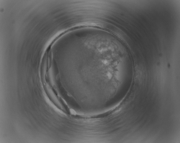 X0000052571084200507011215