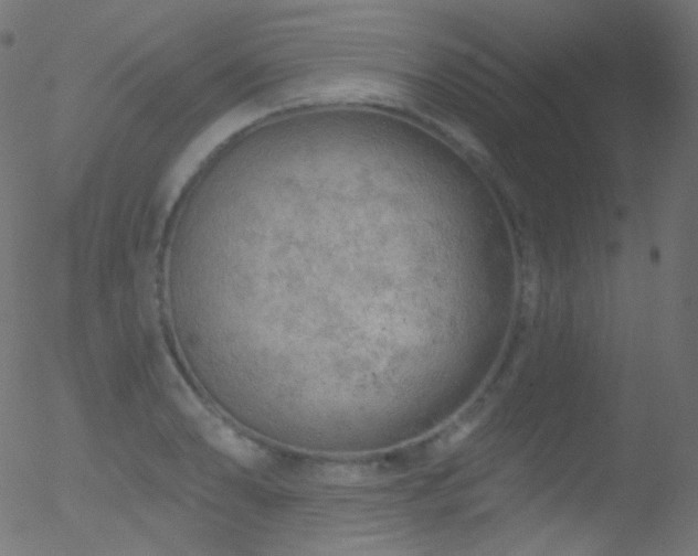 X0000052571086200507011214