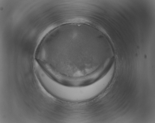 X0000052571087200507011214