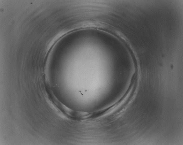 X0000052571089200507011214