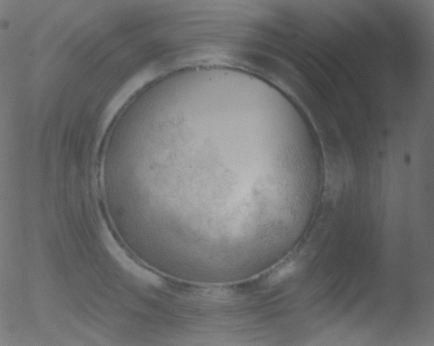 X0000052571090200507011214