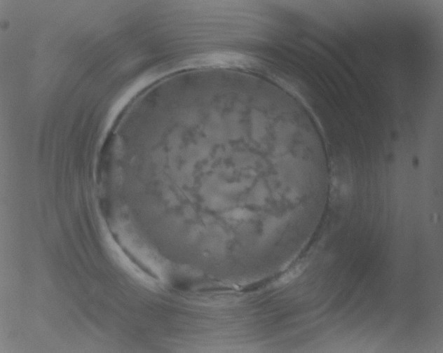 X0000052571091200507011214