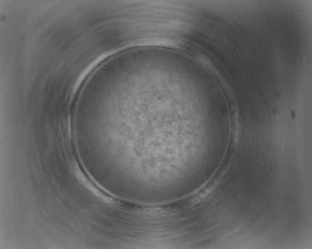 X0000052571092200507011214