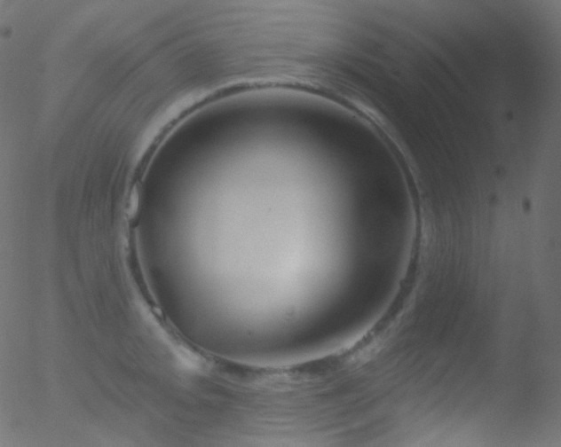 X0000052571093200507011214