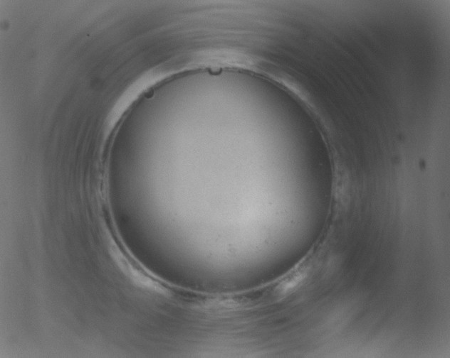 X0000052571094200507011214